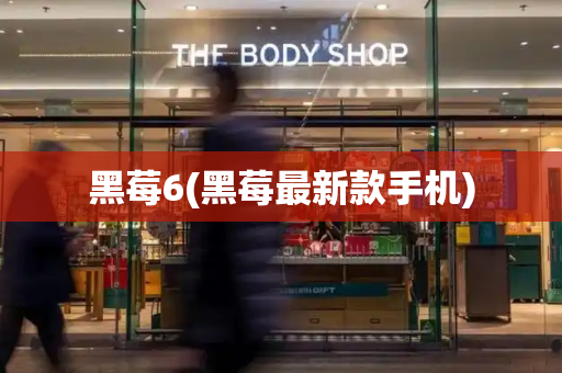 黑莓6(黑莓最新款手机)
