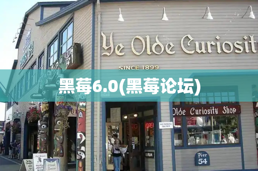 黑莓6.0(黑莓论坛)