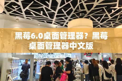 黑莓6.0桌面管理器？黑莓桌面管理器中文版