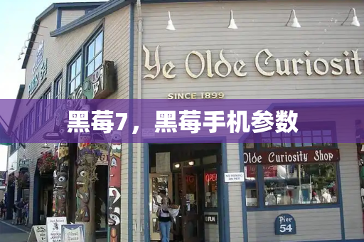 黑莓7，黑莓手机参数-第1张图片-星选测评