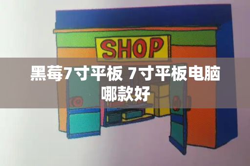 黑莓7寸平板 7寸平板电脑哪款好-第1张图片-星选测评