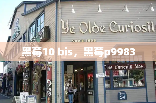 黑莓10 bis，黑莓p9983