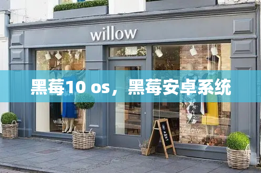 黑莓10 os，黑莓安卓系统-第1张图片-星选测评