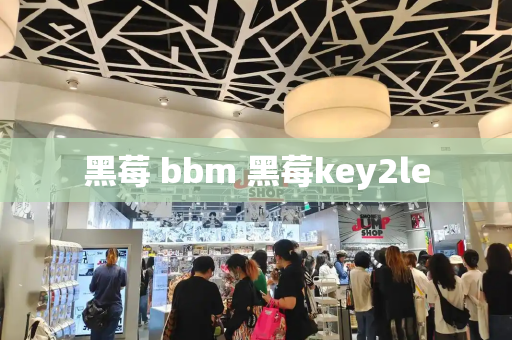 黑莓 bbm 黑莓key2le-第1张图片-星选测评