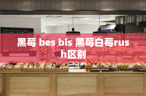 黑莓 bes bis 黑莓白莓rush区别