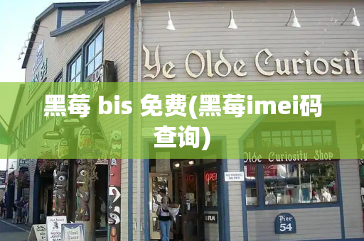 黑莓 bis 免费(黑莓imei码查询)-第1张图片-星选测评