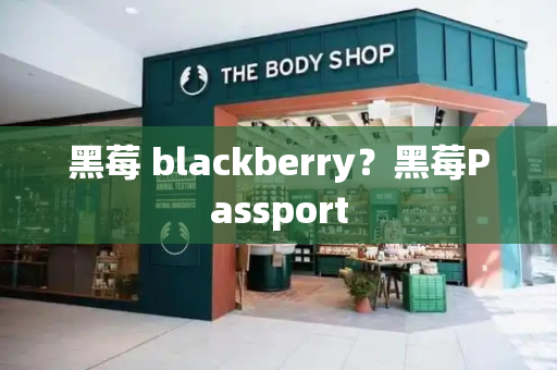 黑莓 blackberry？黑莓Passport