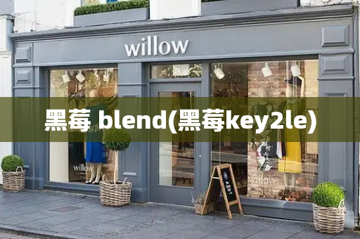 黑莓 blend(黑莓key2le)