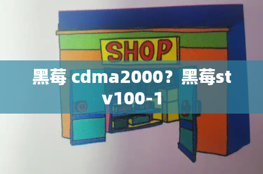 黑莓 cdma2000？黑莓stv100-1