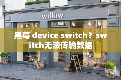 黑莓 device switch？switch无法传输数据