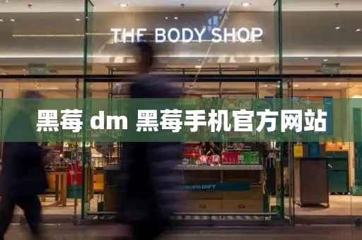 黑莓 dm 黑莓手机官方网站