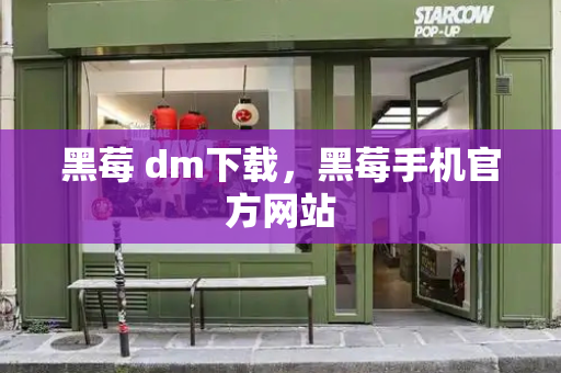 黑莓 dm下载，黑莓手机官方网站-第1张图片-星选测评