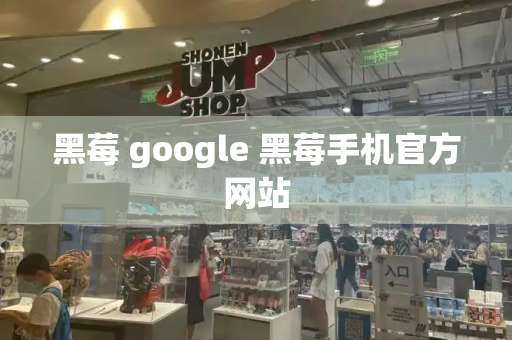 黑莓 google 黑莓手机官方网站