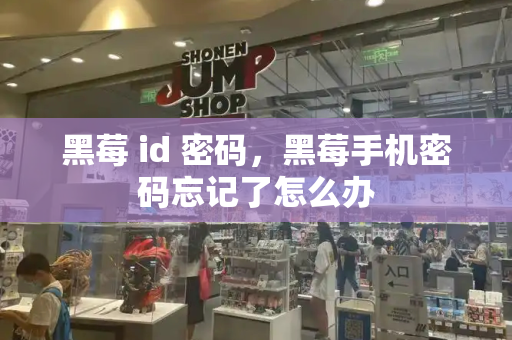 黑莓 id 密码，黑莓手机密码忘记了怎么办-第1张图片-星选测评
