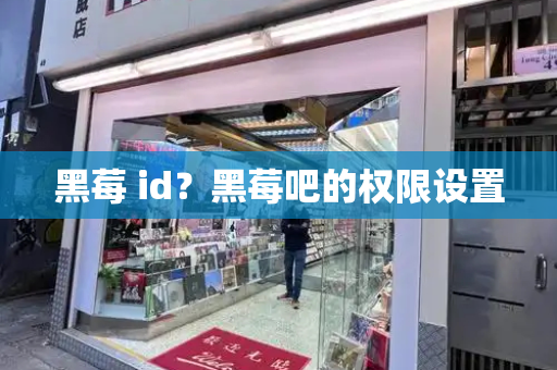 黑莓 id？黑莓吧的权限设置-第1张图片-星选测评