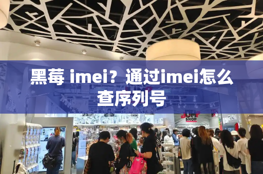 黑莓 imei？通过imei怎么查序列号