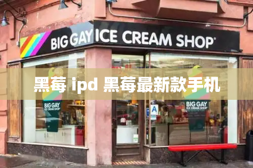 黑莓 ipd 黑莓最新款手机