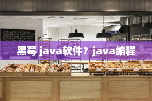黑莓 java软件？java编程