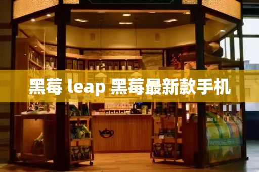 黑莓 leap 黑莓最新款手机-第1张图片-星选测评