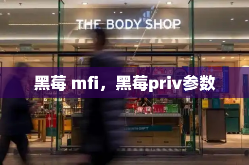 黑莓 mfi，黑莓priv参数