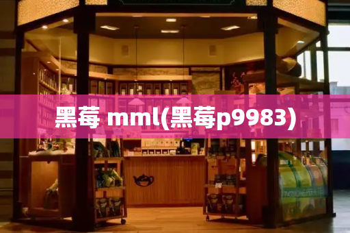 黑莓 mml(黑莓p9983)-第1张图片-星选测评