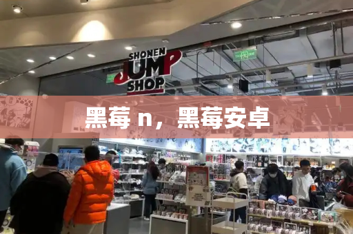 黑莓 n，黑莓安卓-第1张图片-星选测评