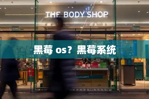 黑莓 os？黑莓系统-第1张图片-星选测评