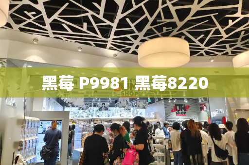 黑莓 P9981 黑莓8220-第1张图片-星选测评