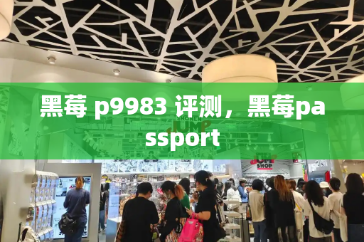 黑莓 p9983 评测，黑莓passport