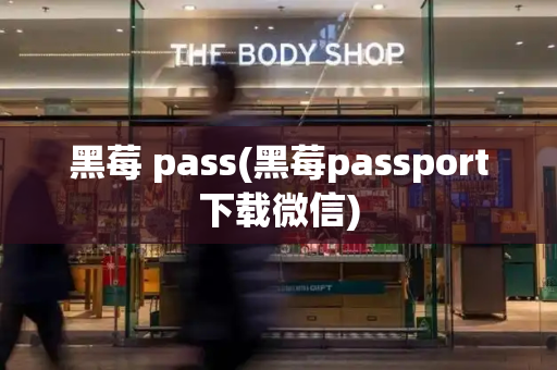 黑莓 pass(黑莓passport下载微信)-第1张图片-星选测评