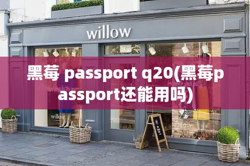 黑莓 passport q20(黑莓passport还能用吗)-第1张图片-星选测评
