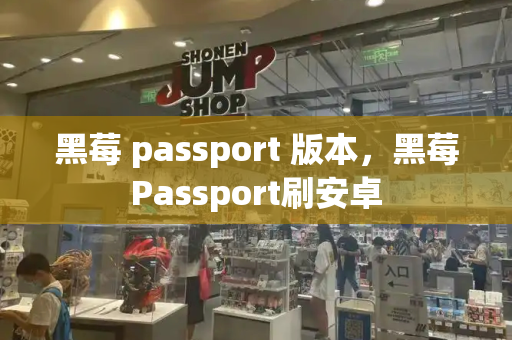 黑莓 passport 版本，黑莓Passport刷安卓