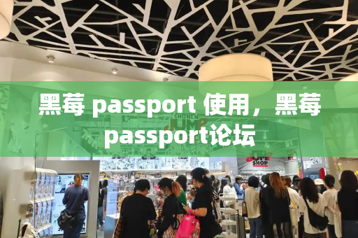 黑莓 passport 使用，黑莓passport论坛-第1张图片-星选测评
