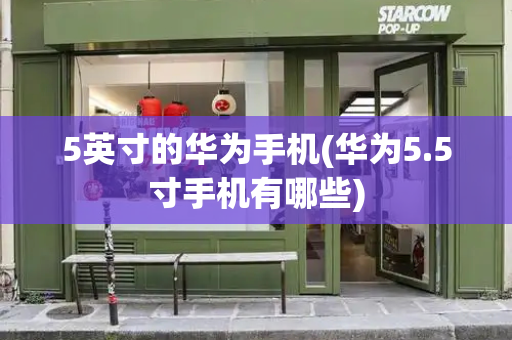 5英寸的华为手机(华为5.5寸手机有哪些)