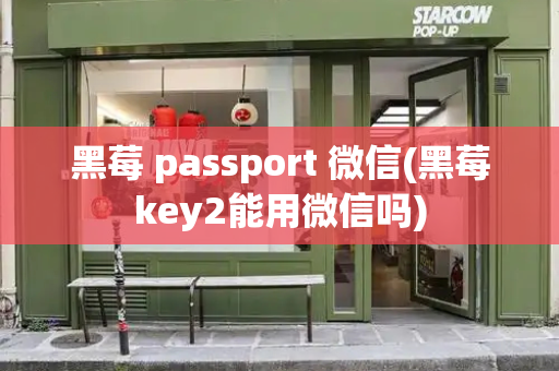黑莓 passport 微信(黑莓key2能用微信吗)-第1张图片-星选测评