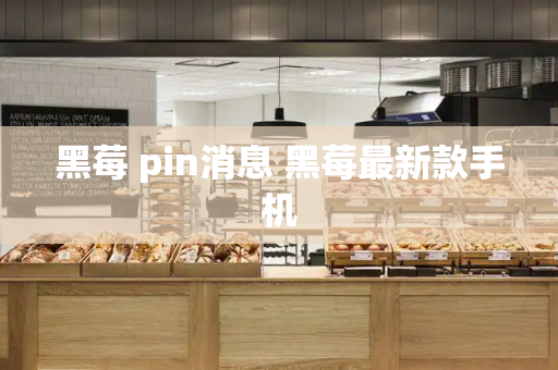 黑莓 pin消息 黑莓最新款手机