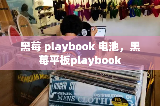黑莓 playbook 电池，黑莓平板playbook-第1张图片-星选测评