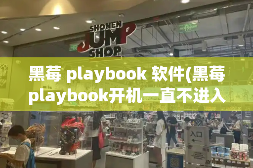 黑莓 playbook 软件(黑莓playbook开机一直不进入)