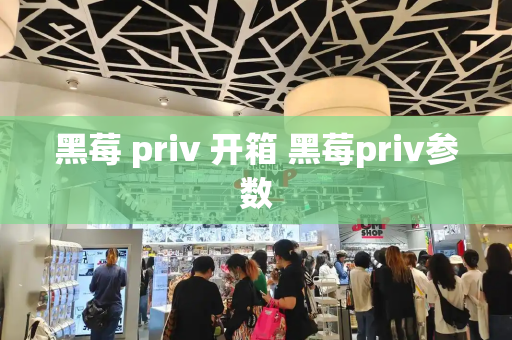 黑莓 priv 开箱 黑莓priv参数