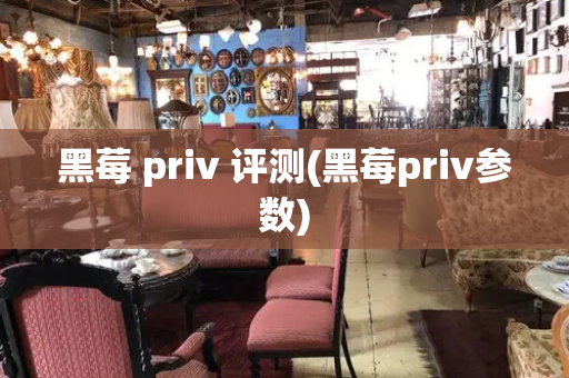 黑莓 priv 评测(黑莓priv参数)-第1张图片-星选测评