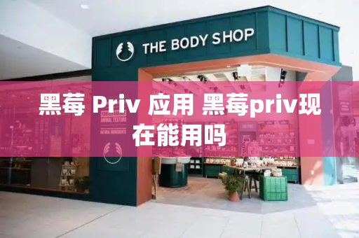 黑莓 Priv 应用 黑莓priv现在能用吗-第1张图片-星选测评