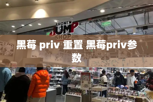 黑莓 priv 重置 黑莓priv参数-第1张图片-星选测评
