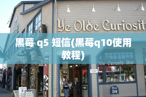 黑莓 q5 短信(黑莓q10使用教程)