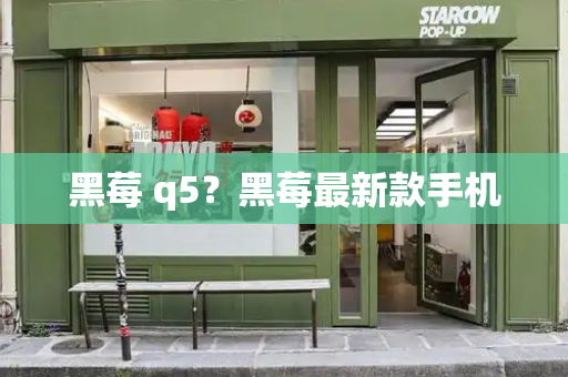 黑莓 q5？黑莓最新款手机-第1张图片-星选测评