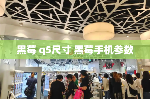 黑莓 q5尺寸 黑莓手机参数