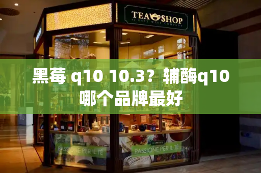 黑莓 q10 10.3？辅酶q10哪个品牌最好-第1张图片-星选测评