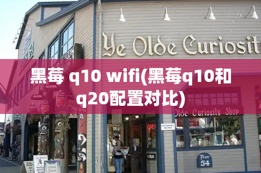 黑莓 q10 wifi(黑莓q10和q20配置对比)-第1张图片-星选测评