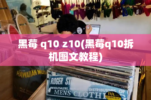 黑莓 q10 z10(黑莓q10拆机图文教程)