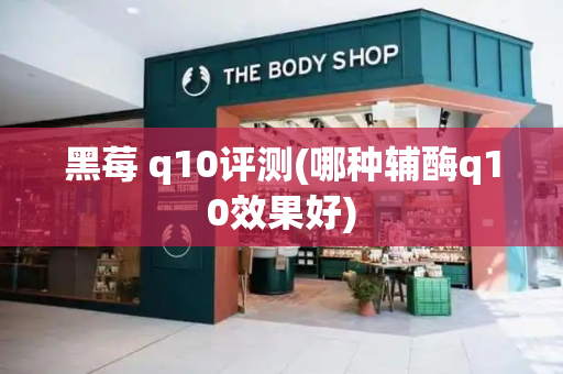 黑莓 q10评测(哪种辅酶q10效果好)