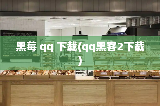 黑莓 qq 下载(qq黑客2下载)-第1张图片-星选测评